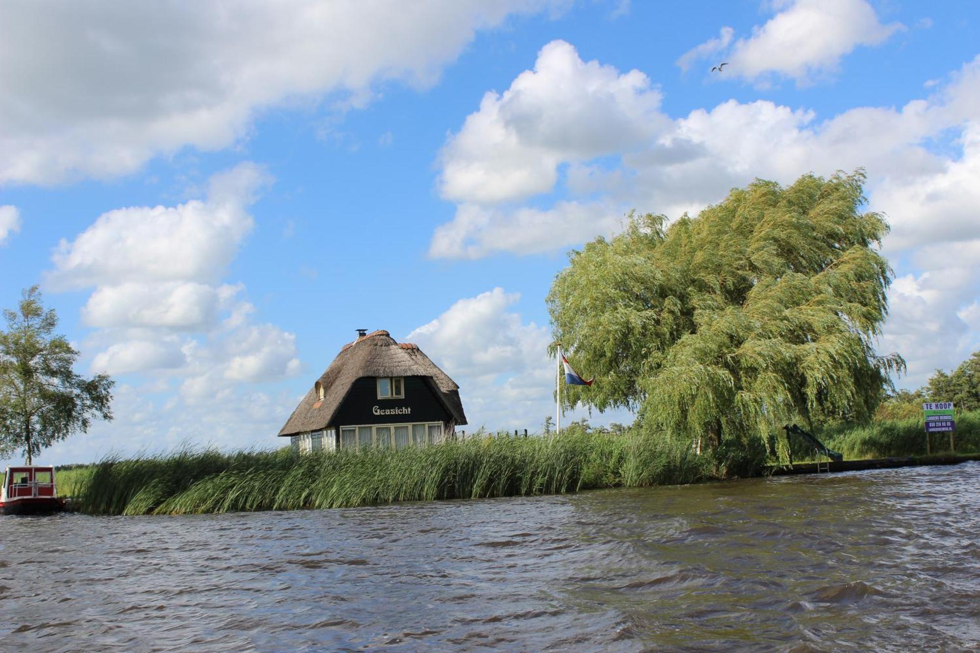 Wartena Hoeve - Vega B&B Exteriör bild